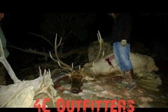 image-42