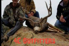 image-46
